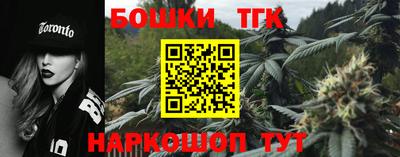 индика Ирбит