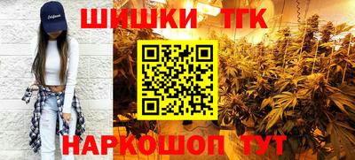 индика Ирбит