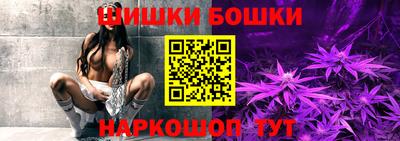индика Ирбит