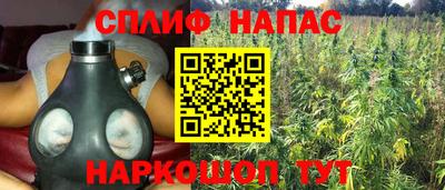 индика Ирбит
