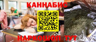 индика Ирбит