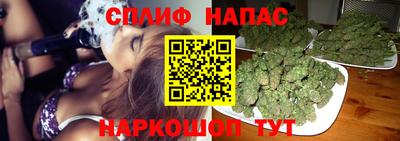 индика Ирбит